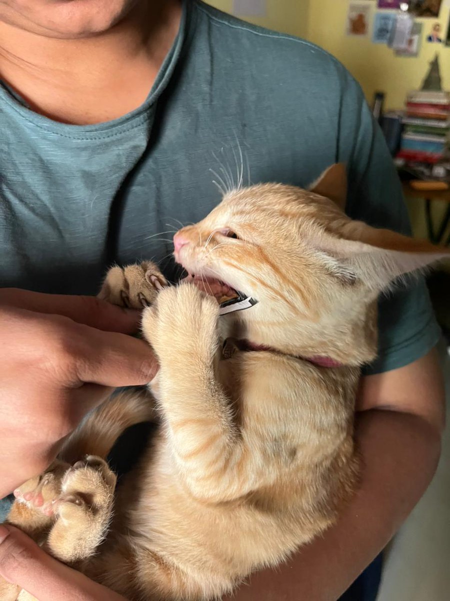 Leon's Roundhouse tweet media