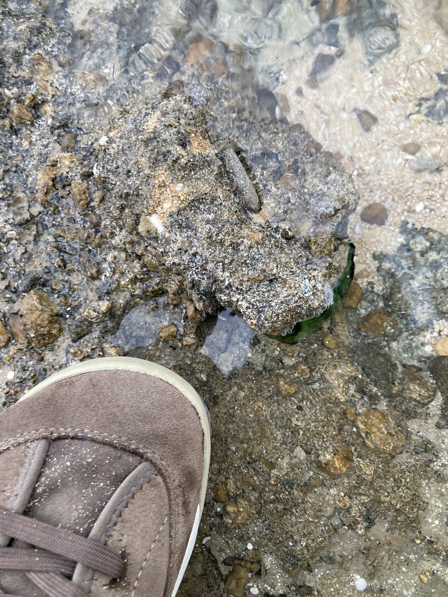 SIchimura2's tweet photo. ビーチロックにガラス瓶の破片が取り込まれているのを見てその形成速度の速さに驚いた https://t.co/y9Pxk4cKEU