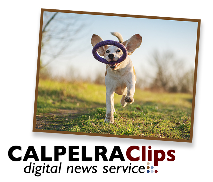 CALPELRA's tweet photo. March 4 CALPELRAClips: Your Weekly Scoop - Now available on CALPELRA's web site. #PublicEmploymentNews #LaborRelationsNews #HRNews #CALPELRADogsDeliver
 https://t.co/tiFGGBef7o https://t.co/hBgcsCXD0S