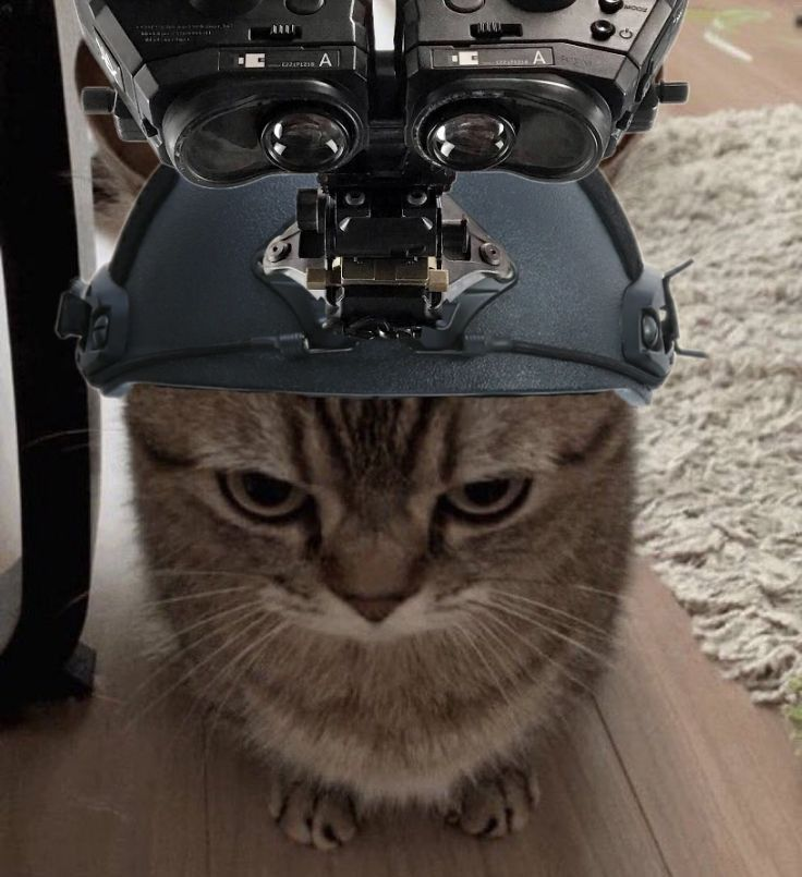 F/A-18 Block III Super Hornet tweet media