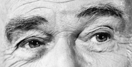 Bufo Calvin tweet media