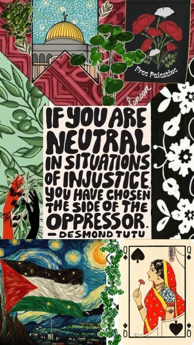 Ava꧁A꧂ .ıllı.lıllılı.ıllı. tweet media