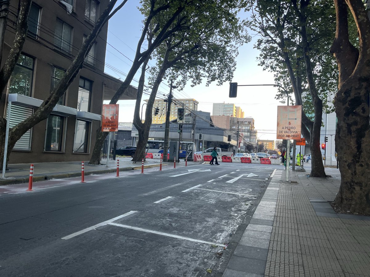 Rodrigo Acuña, el gato tweet media