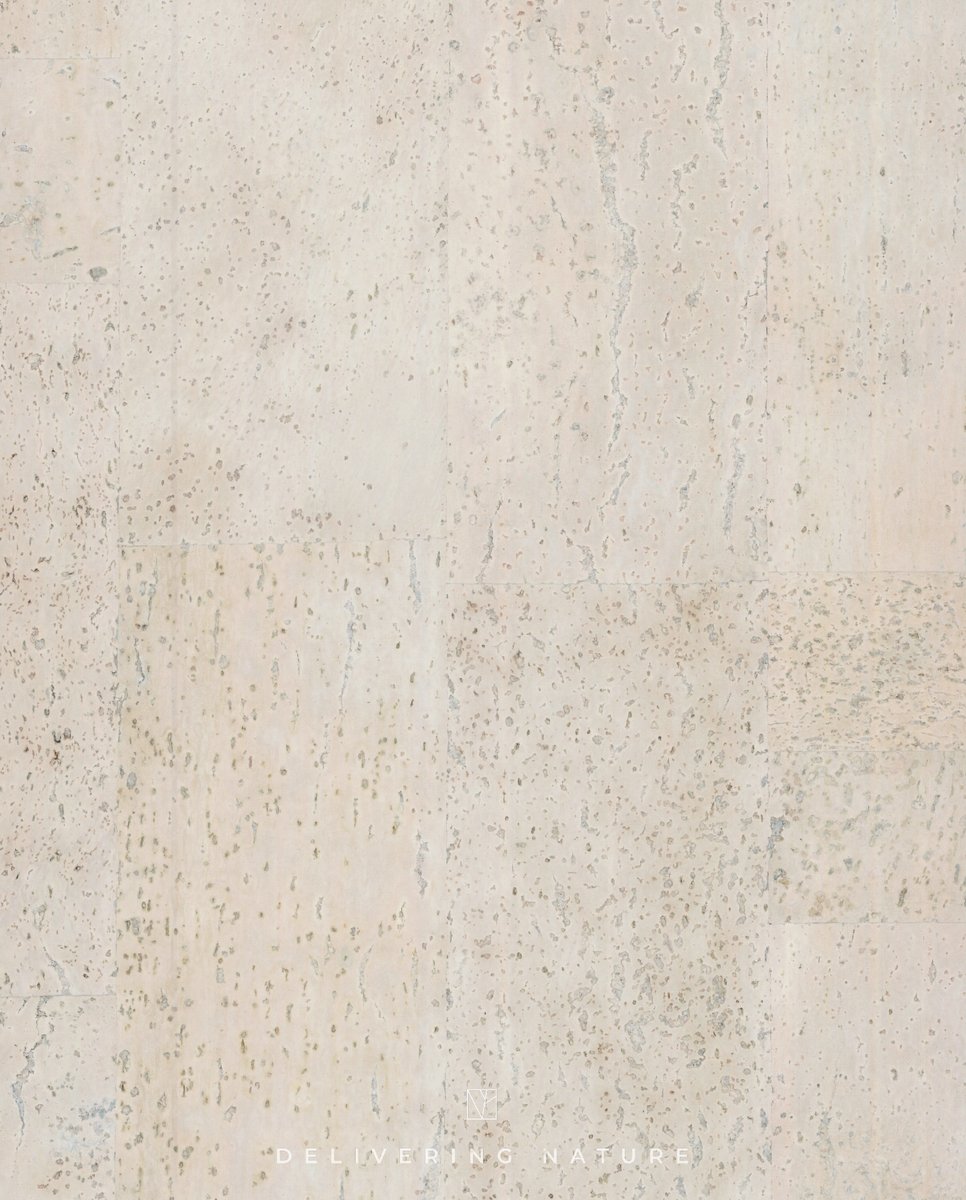 GRANORTE tweet media