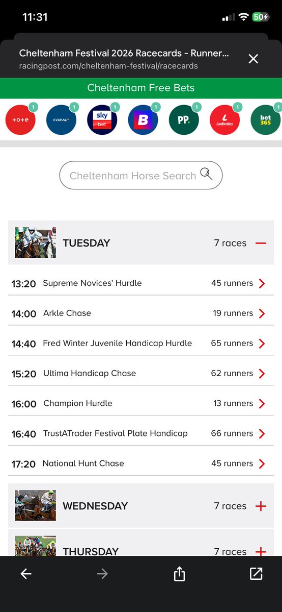 Outdoorsy Horsey tweet media