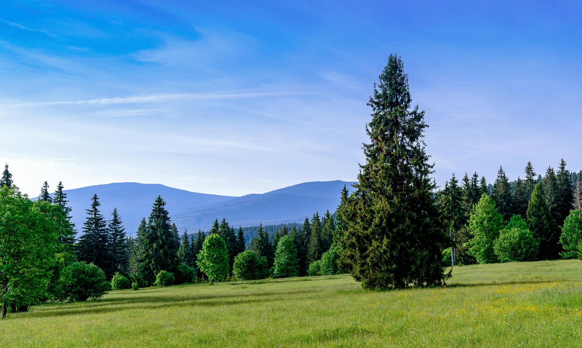 ✨️
طور ذاتك كل يوم خطوة نحو الله..
اقرأ، استغفر، واعمل.. فالتغيير يبدأ من داخلك..
لا تنتظر الغد، ابدأ الآن وأنت على يقين..
الله يحب من يسعى ويتوكل عليه..
اجعل يومك أفضل من أمسه، وغدك أجمل ✨️🤍
🌙