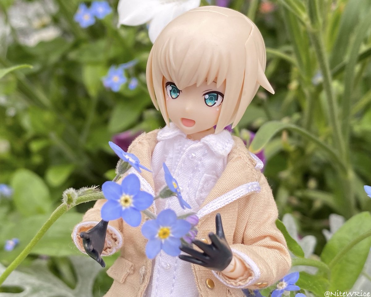 NiteWRice (晚W饭) tweet media