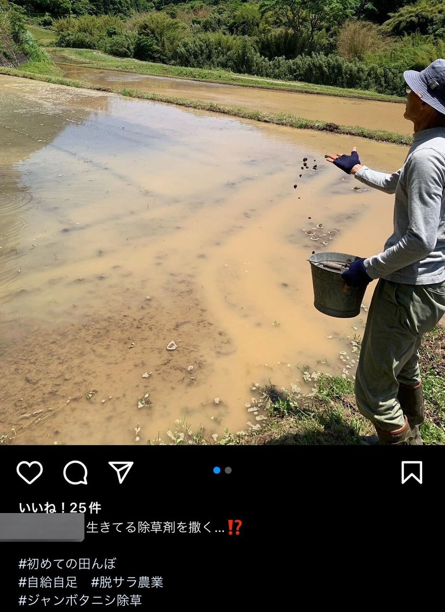 話題のツイート図鑑 tweet media