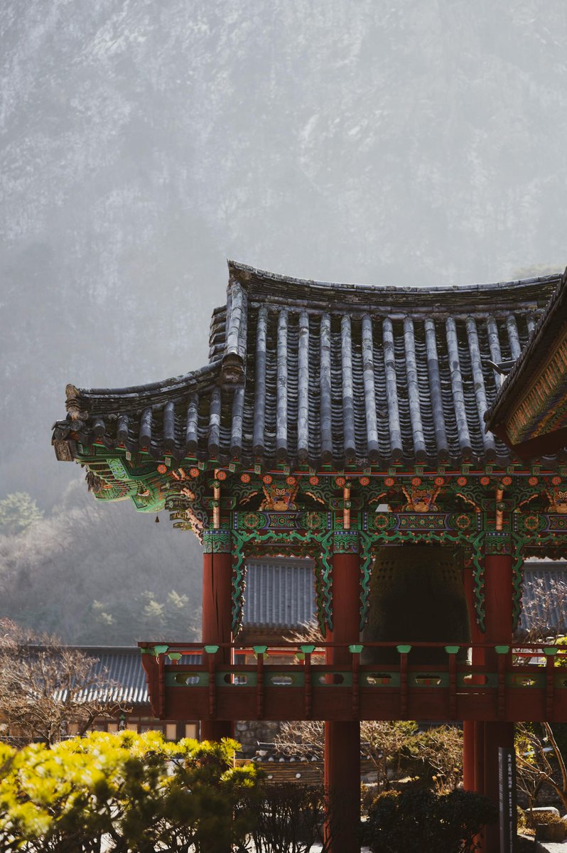 Wonceptual tweet media