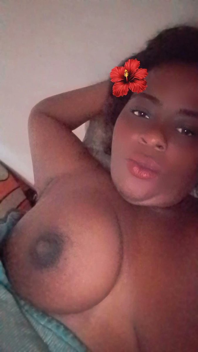 Bom dia