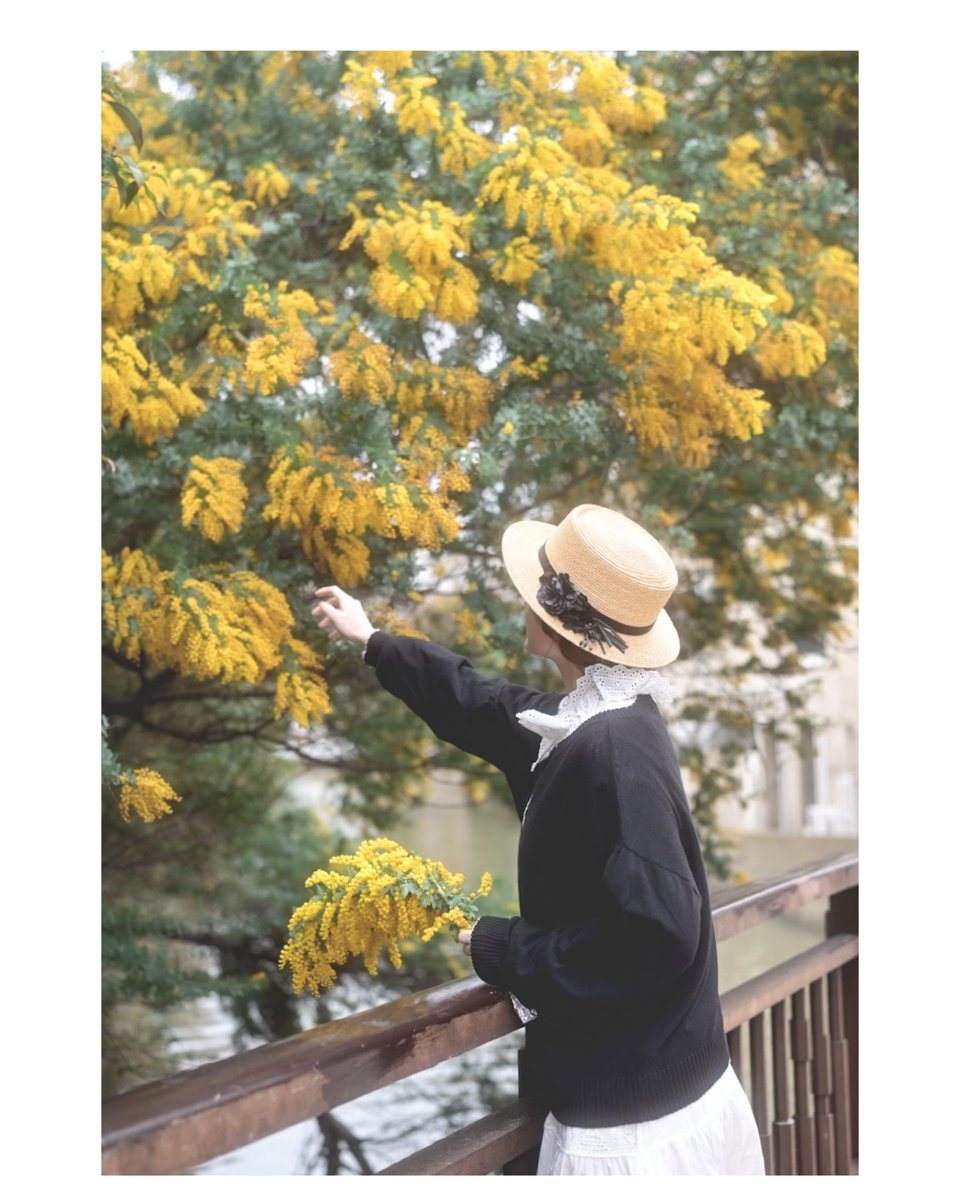 天神のミモザ model shizuka