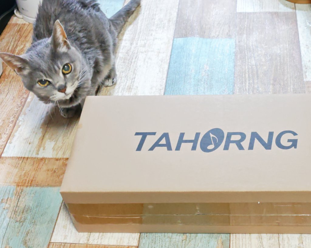 saki bd (@blissfullydeadx) / Posts / X