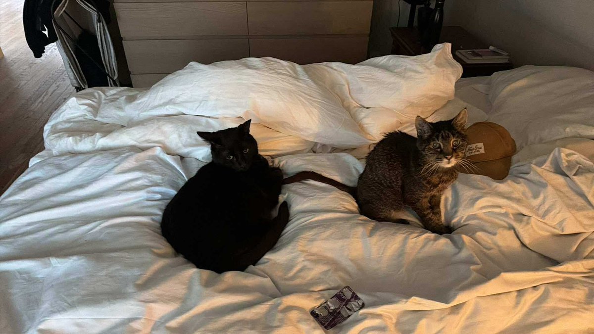 Dr Björn Sk Ingólfsson🎗️ tweet media