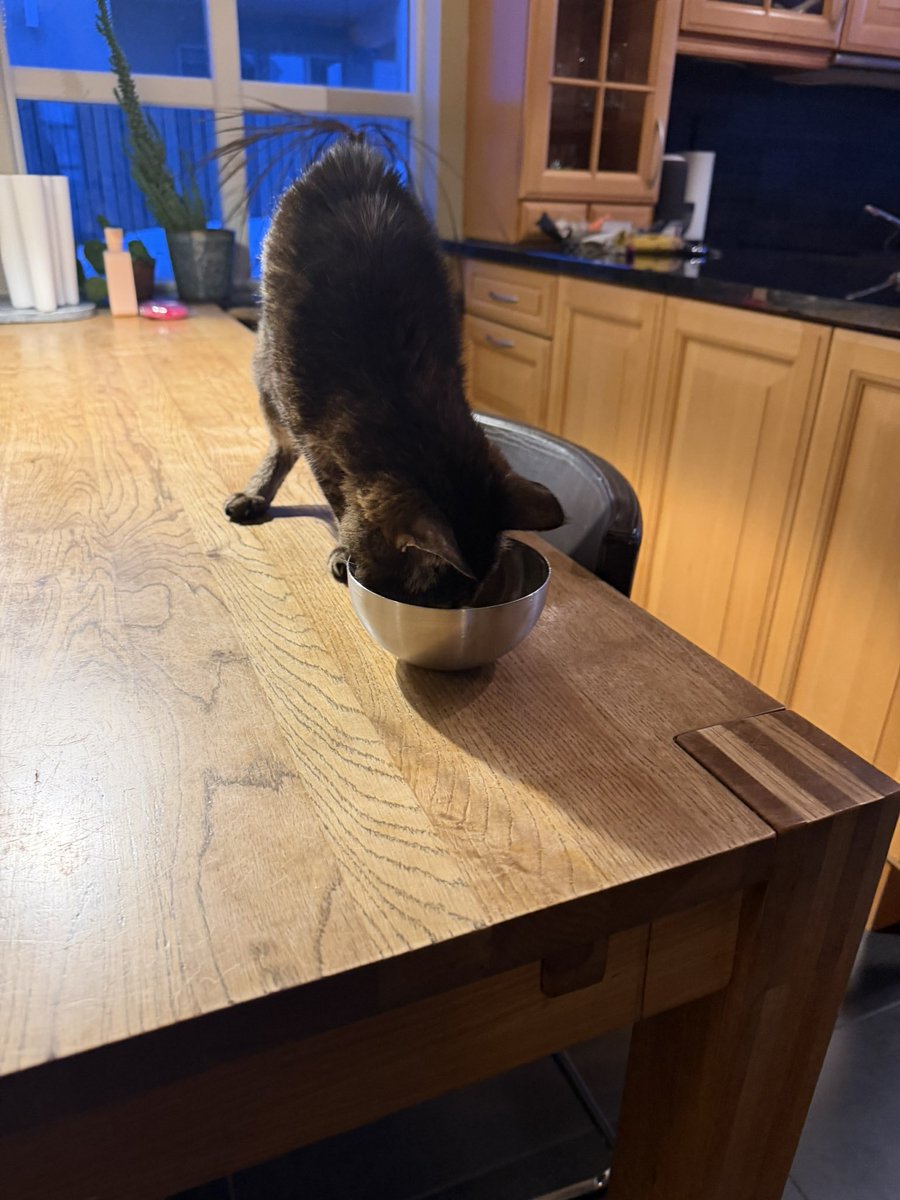 Dr Björn Sk Ingólfsson🎗️ tweet media