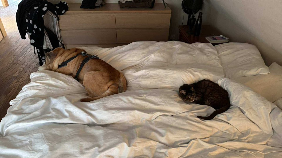 Dr Björn Sk Ingólfsson🎗️ tweet media