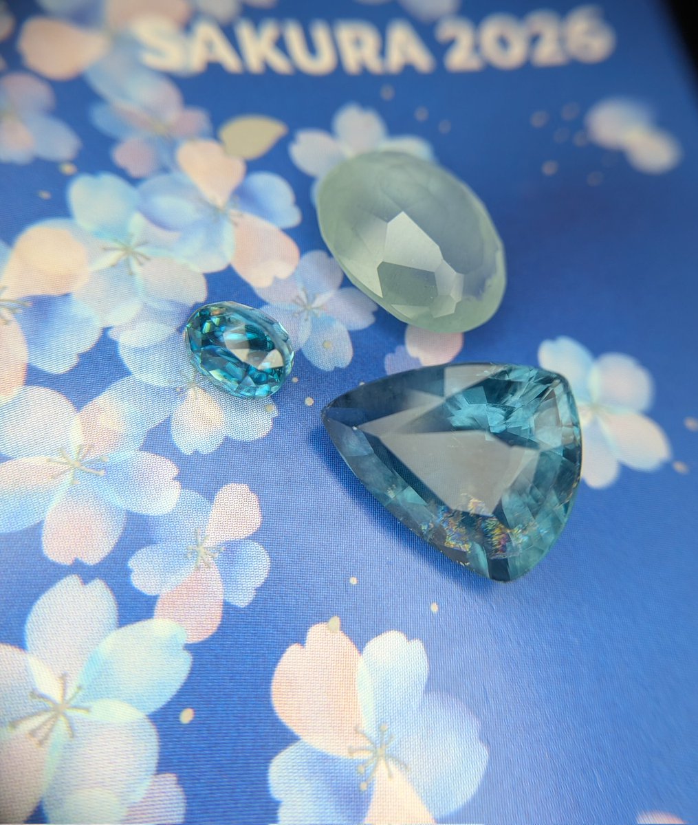 青桜シリーズ、誘惑に負けてスタバカードだけ買ってしまった可愛い🌸
青い宝石と一緒に。
