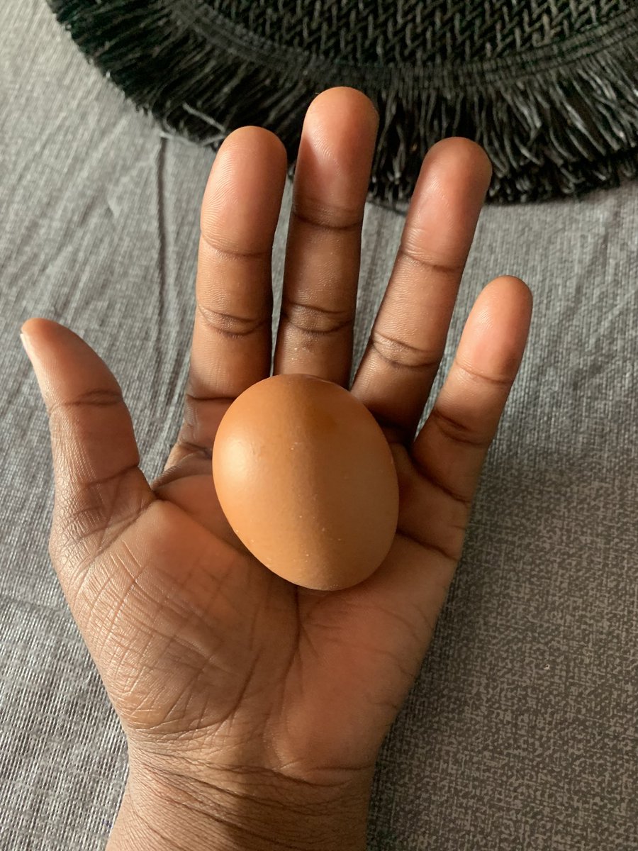 If this is medium then how small is the small? 😭