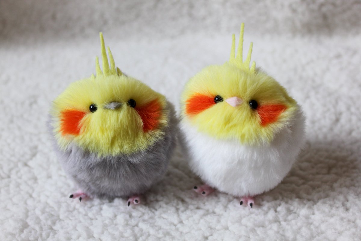 Realta_Newel_'s tweet photo. まんまるコザクラとまんまるオカメが近日発��予定です🦜✨ https://t.co/h73922nCUn