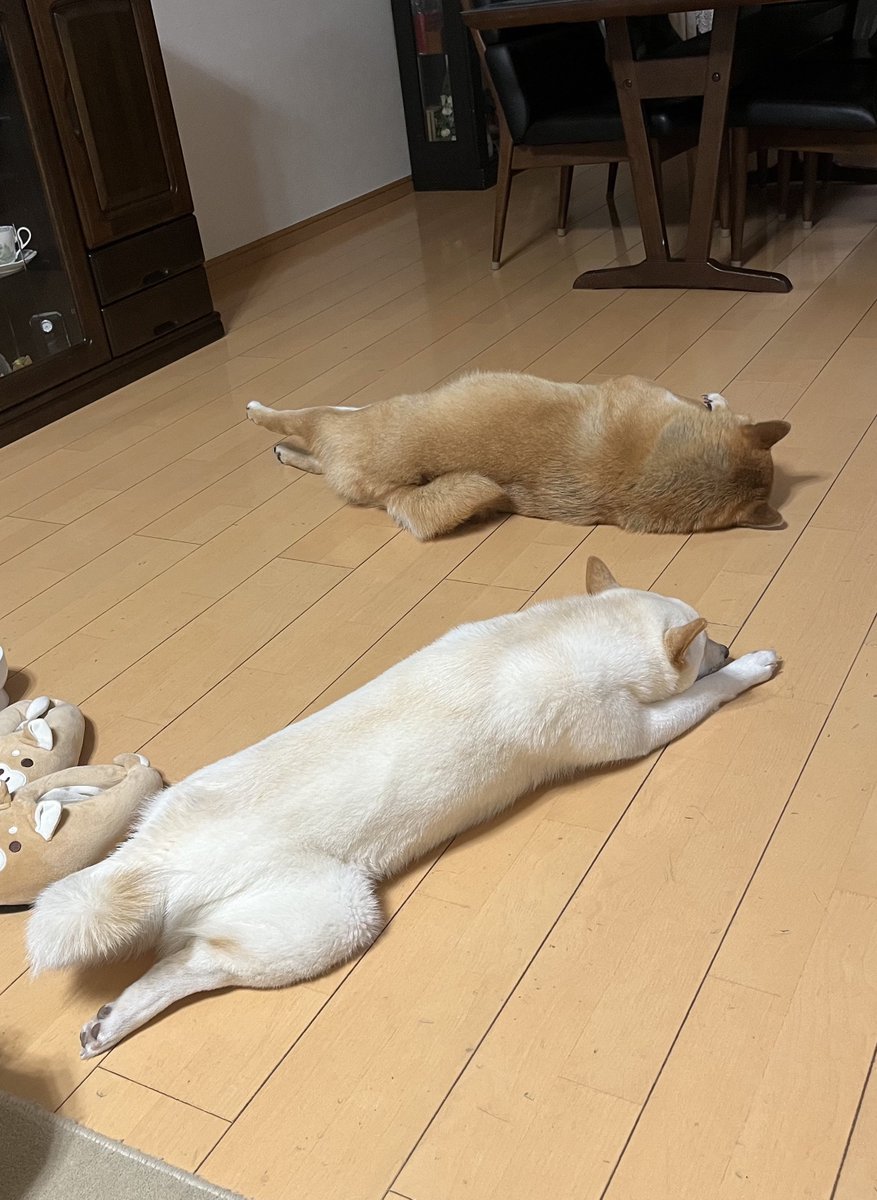 水晶 (@kokutenkyou) / Posts / X