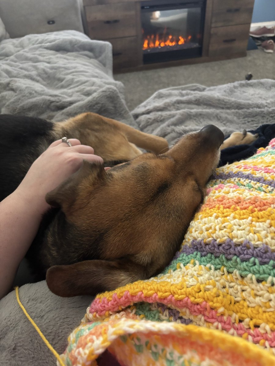 ManderrPander tweet media