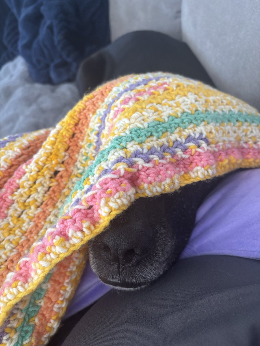 ManderrPander tweet media