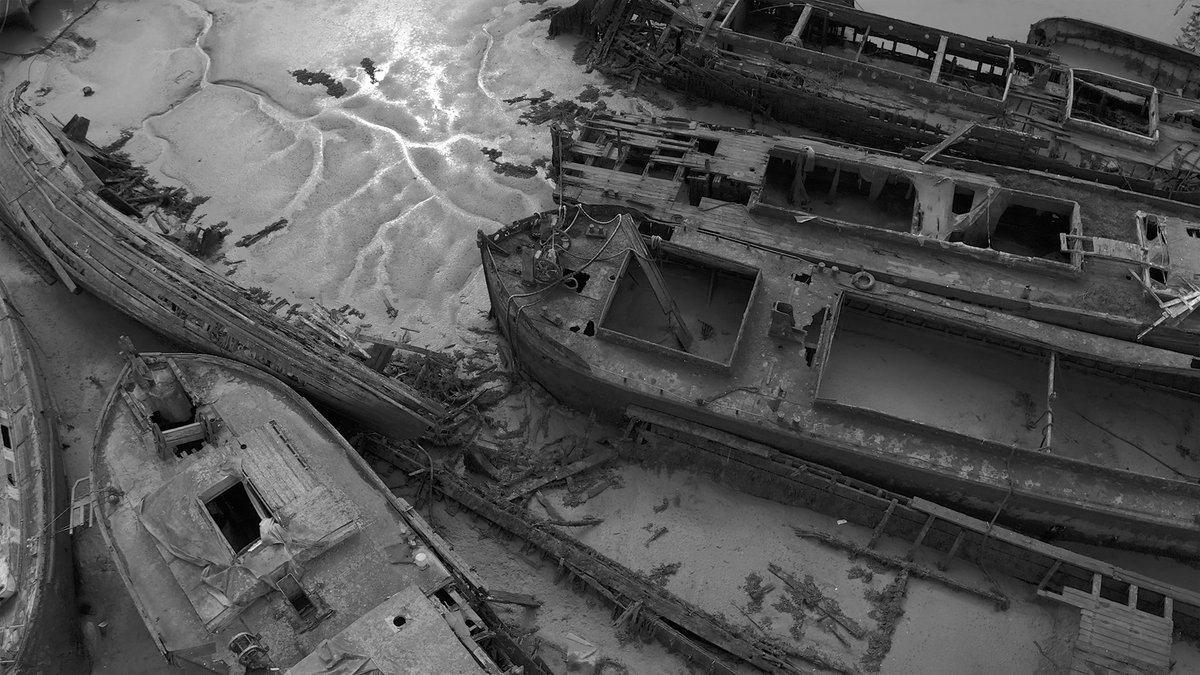 Valentines Mansion & Gardens tweet media