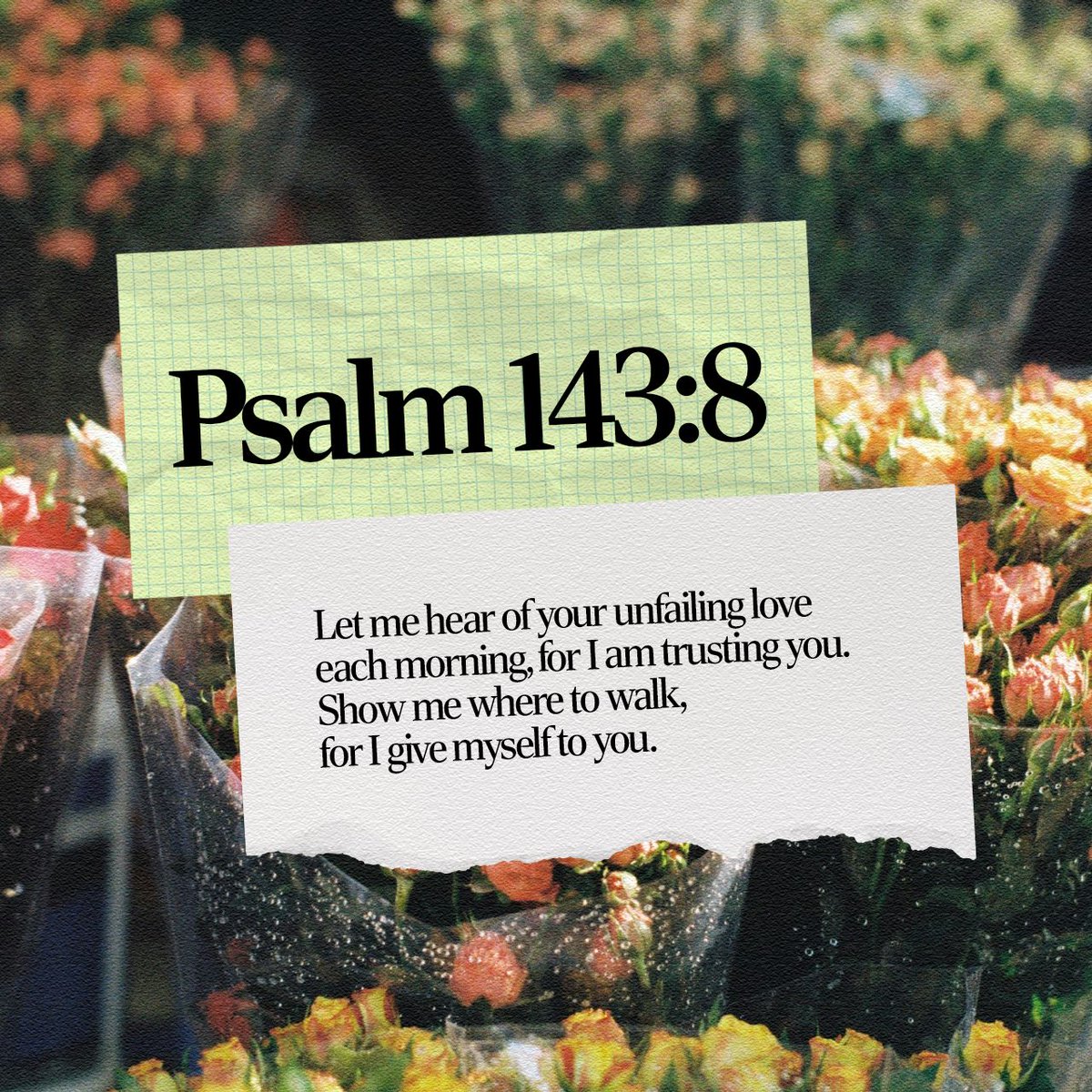 YouVersion's tweet photo. Psalm 143:8 https://t.co/uUz1WlEu5B