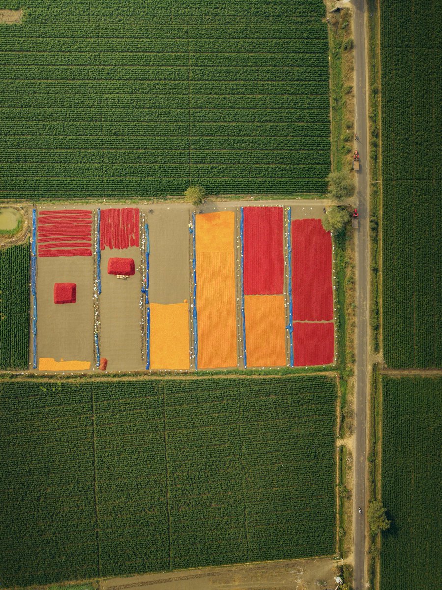 Raju Explorer tweet media