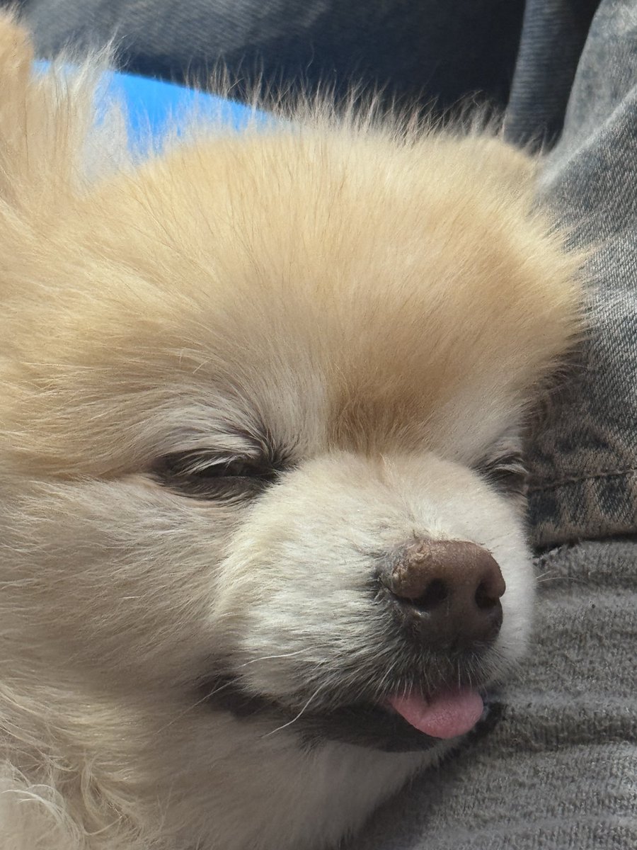 井汲大翔 hiroto tweet media