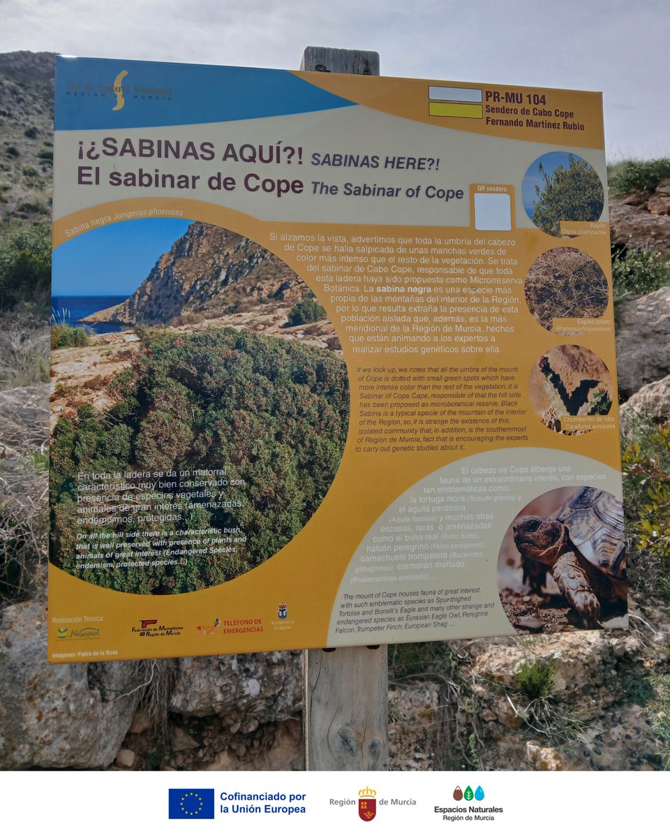 Parque Regional Calnegre y Cabo Cope tweet media