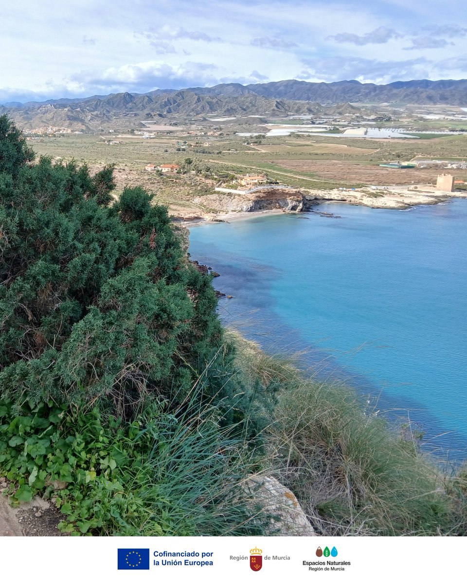 Parque Regional Calnegre y Cabo Cope tweet media