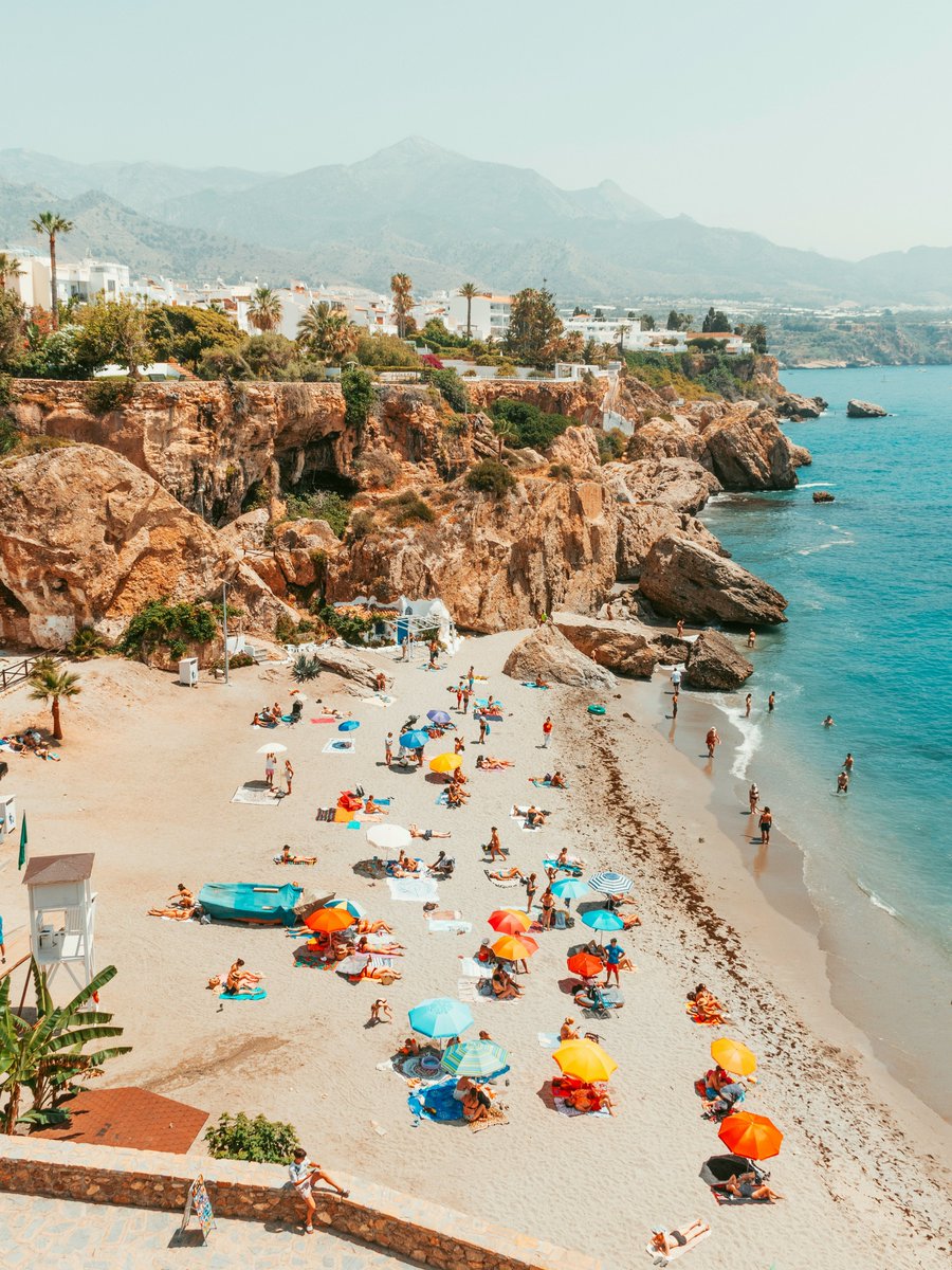 Wonceptual tweet media