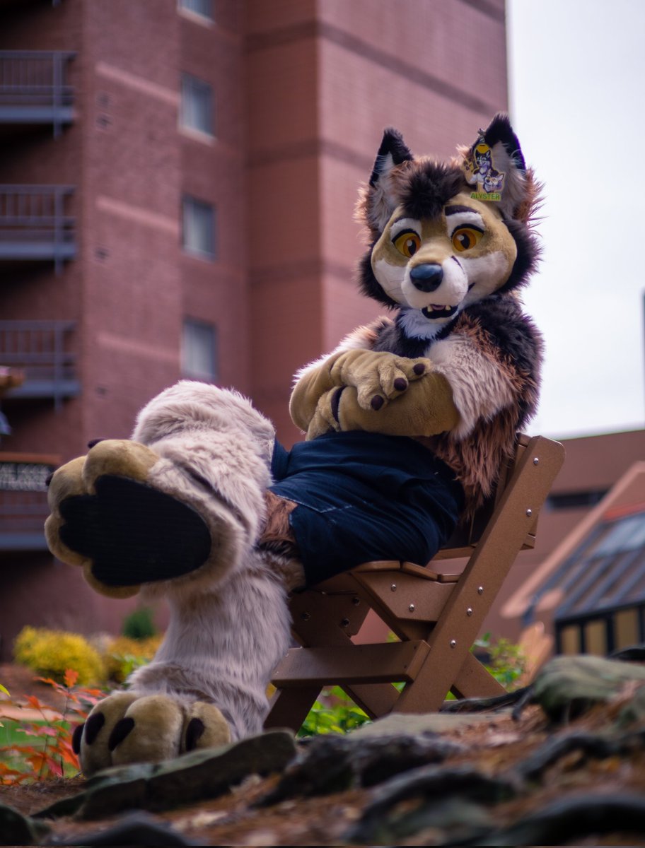 Alysterwolf 🇨🇳 tweet media