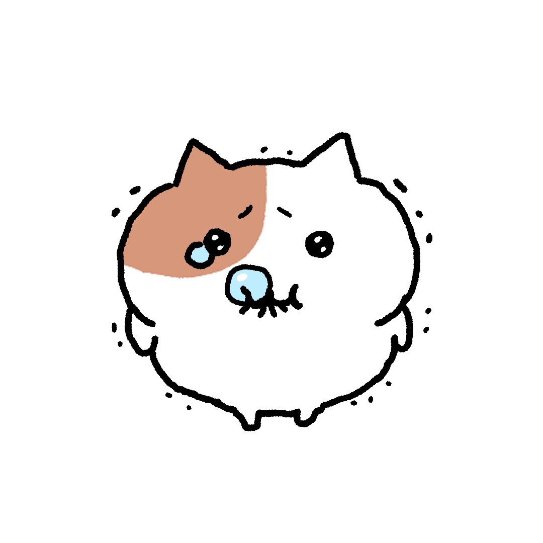 쫀냐미 tweet media