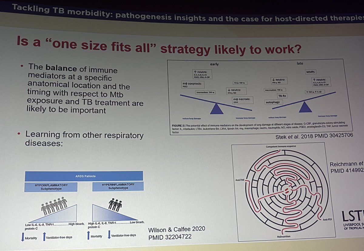 Emily Ward tweet media