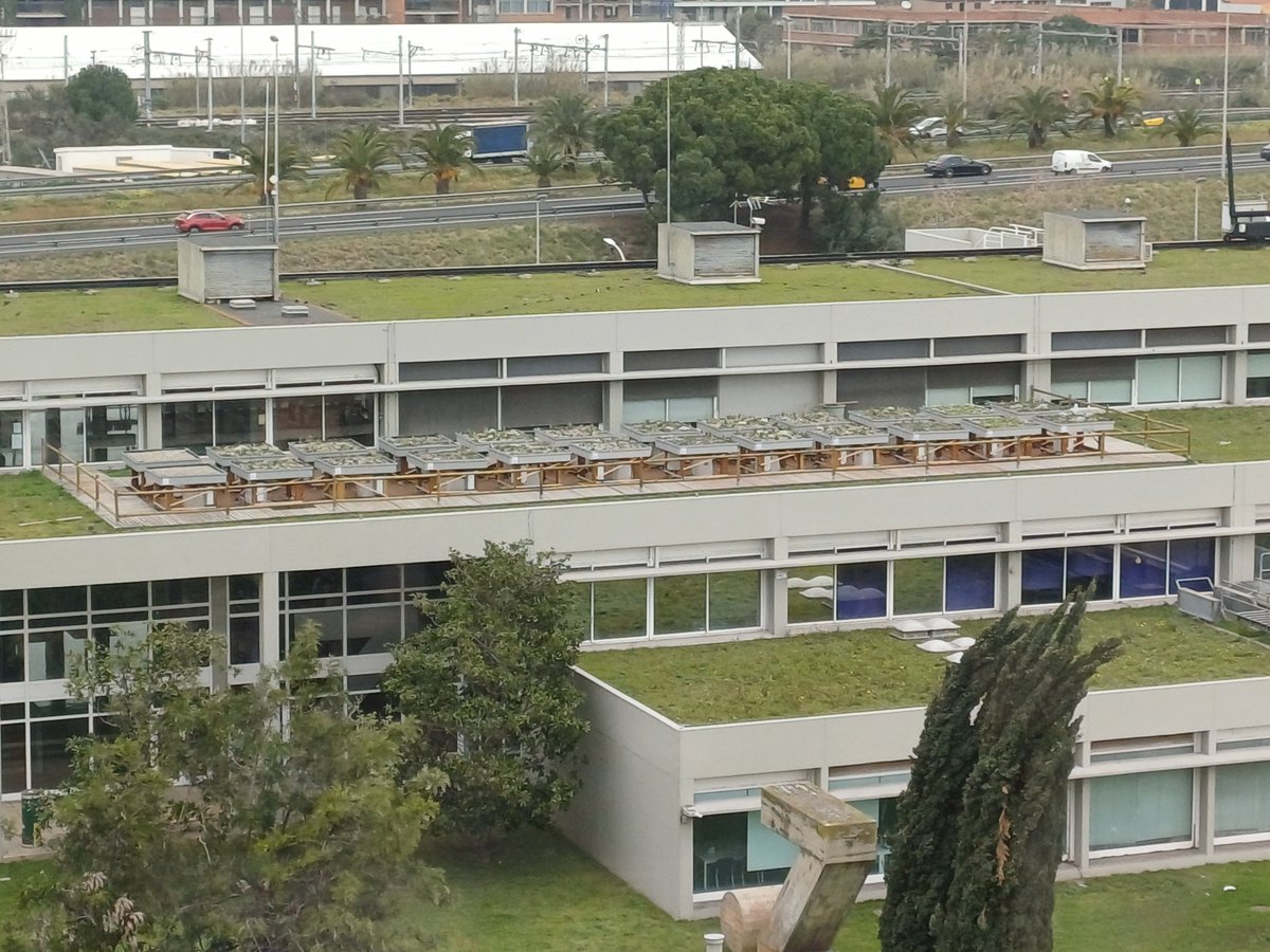 Premsa AMB tweet media