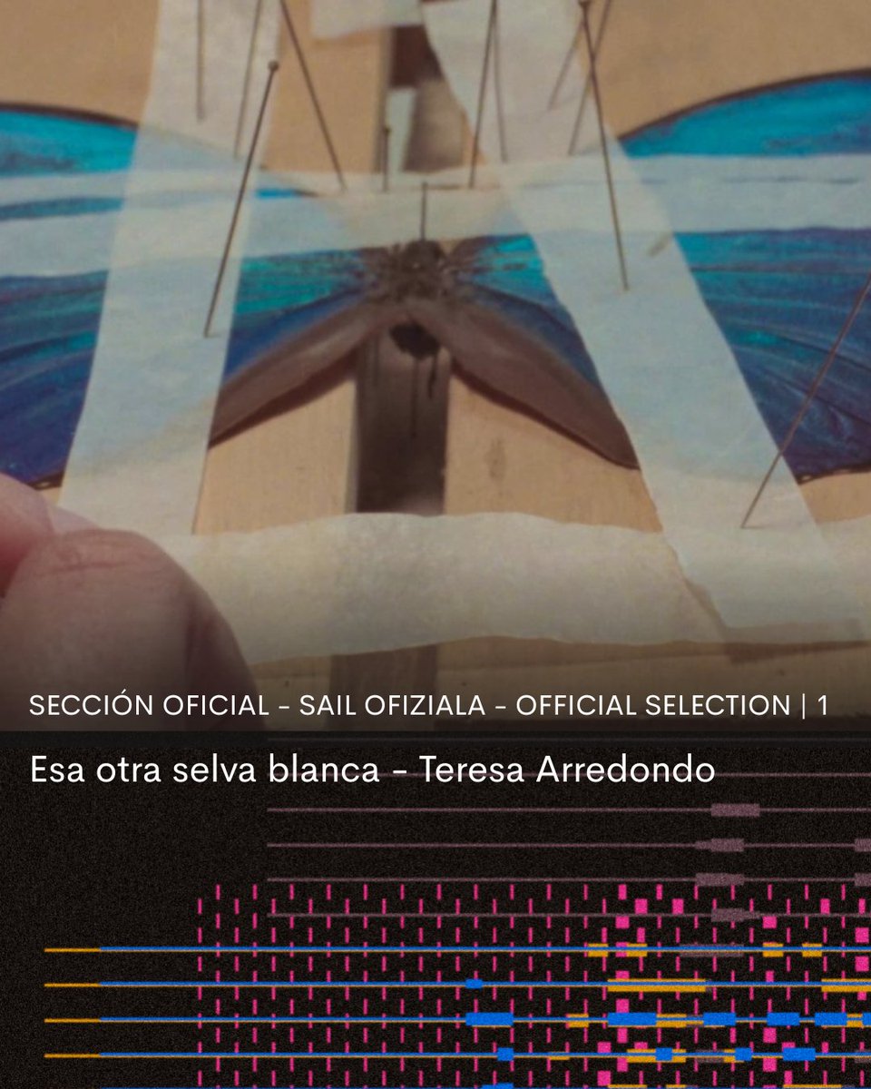 Punto de Vista tweet media