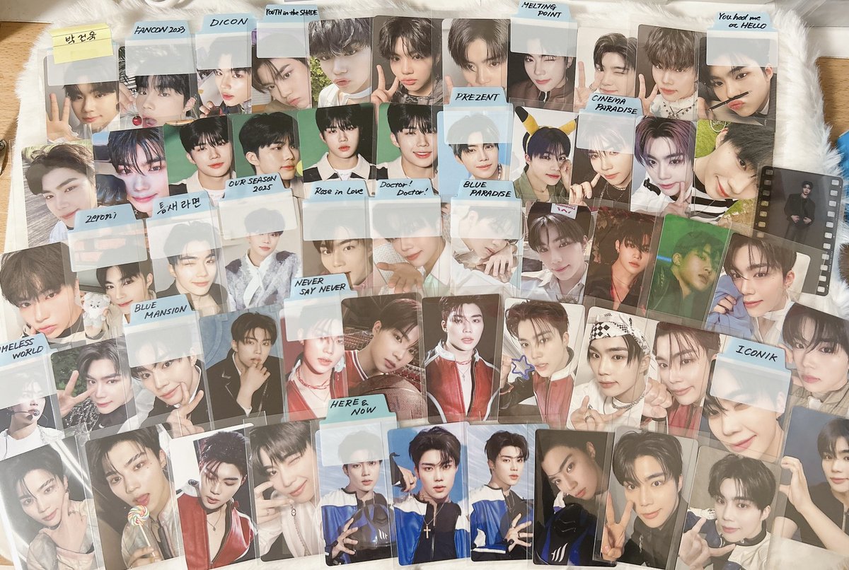 おかだ。 tweet media