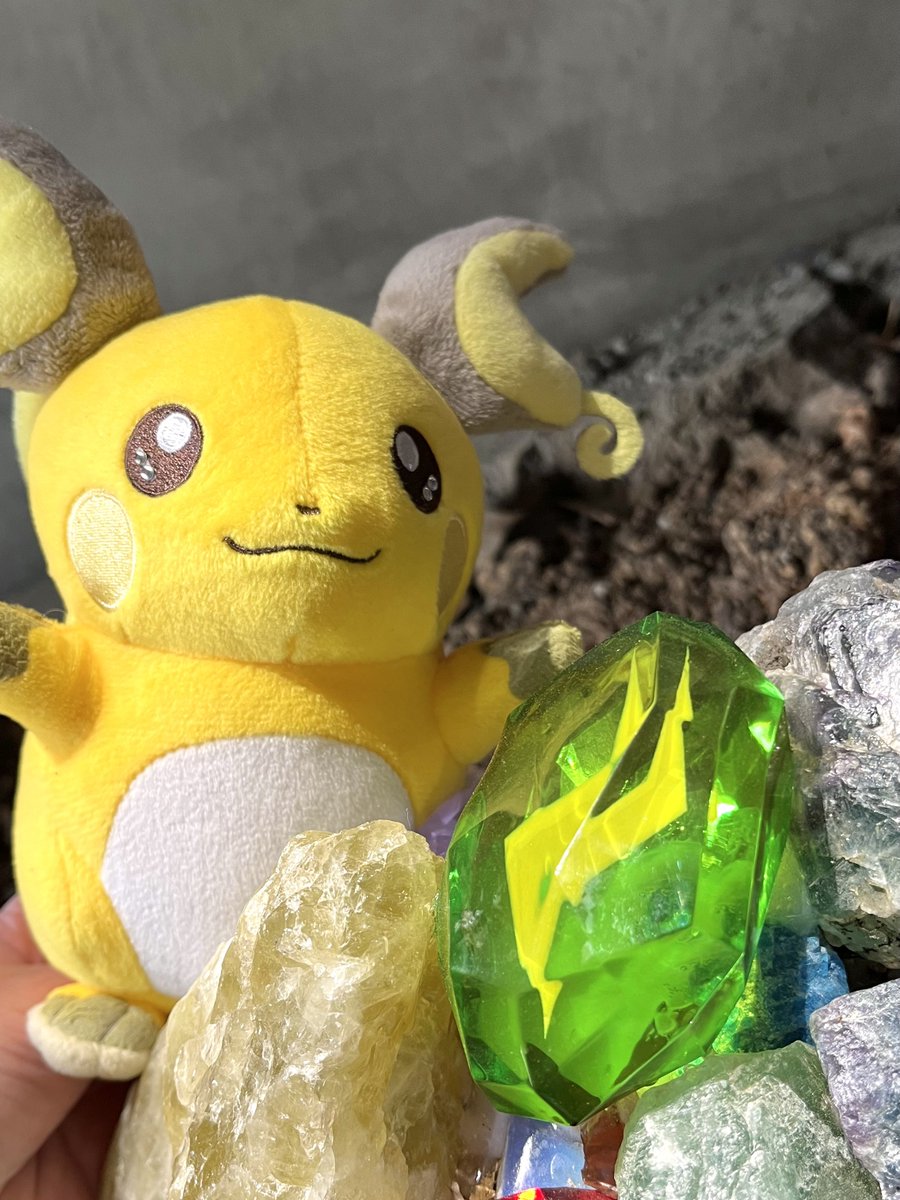 ポケパークで入って早々にお迎えしたピカチュウ、途中で進化してきました⚡️