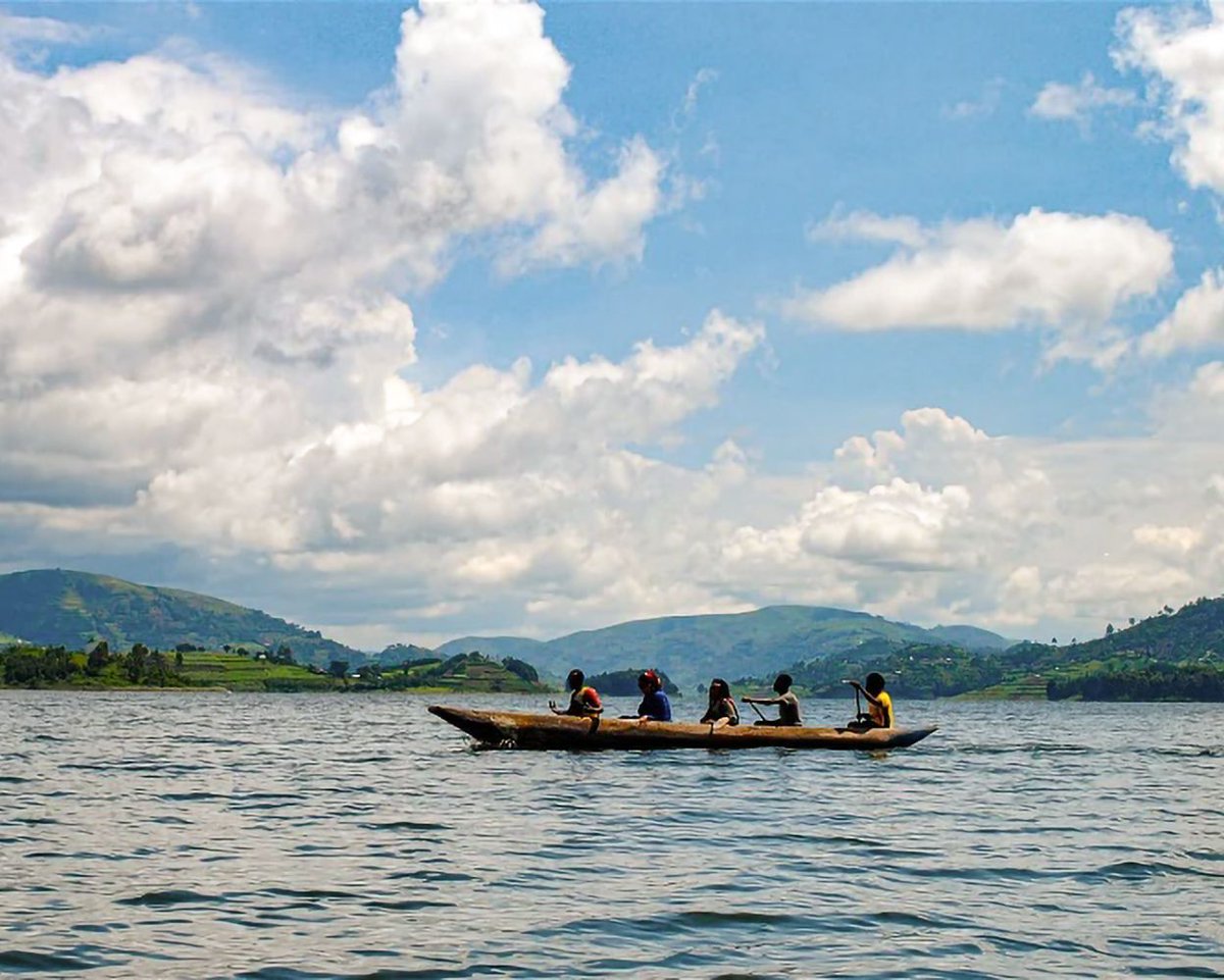 Mist Rwanda Safaris tweet media