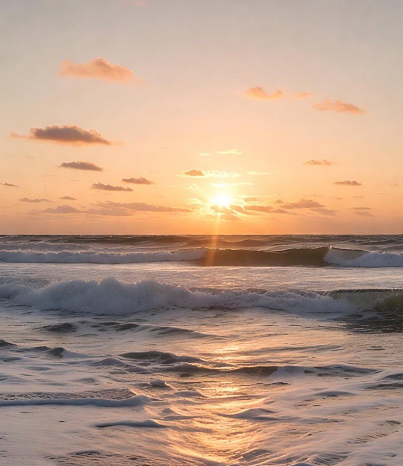 Lisa🌺 tweet media