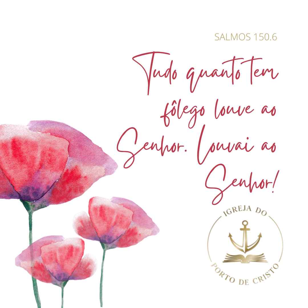 Brasileira Raiz. NÃO DM. NÃO ESQUERDA tweet media