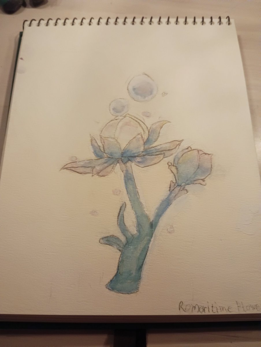 ebisinda's tweet photo. 気分転換に人以��も描いてみたした！ロマリタイムフラワーです🫧

私は人を描く才能がないみたいなので人以外だけ描こうと思います！
美大受かりすように‼️ https://t.co/YlT8K9Izew