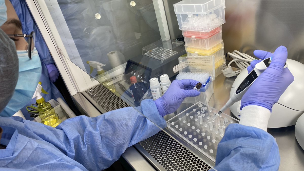 WHOUkraine's tweet image. .@WHOUkraine continues to support and strengthen Ukraine’s #laboratory network by providing technical support and building laboratory capacity. 24 laboratories in #Ukraine have successfully completed a national External Quality Assessment program for respiratory virus testing.