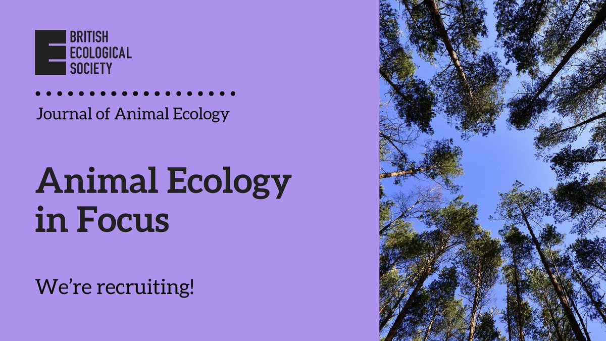 Journal of Animal Ecology tweet media