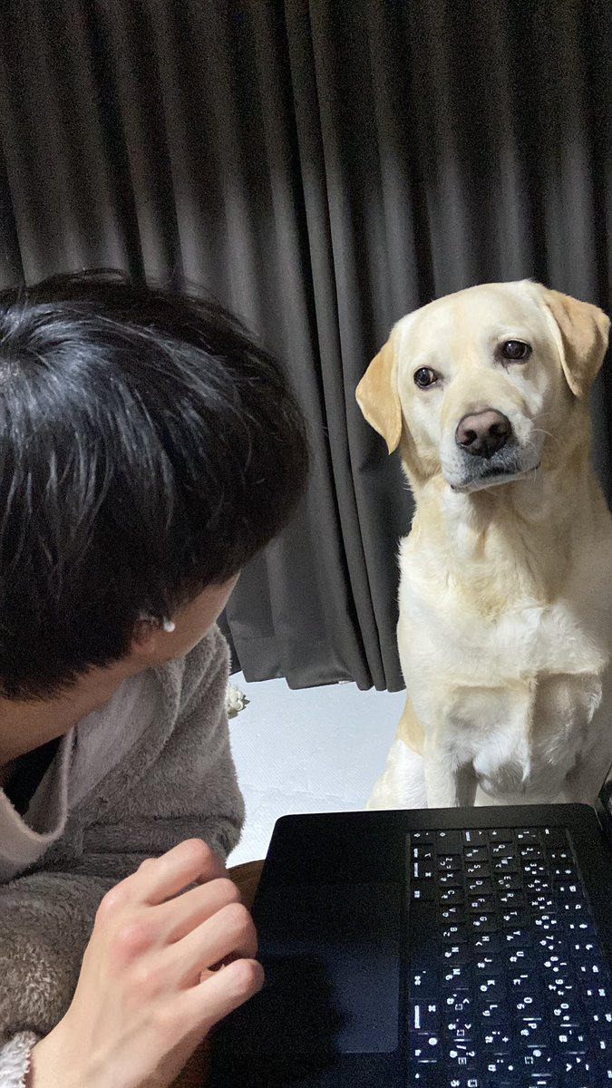 zl_vwy's tweet photo. あのーそろそろ遊んでもらえます？ https://t.co/7xz10orxmV