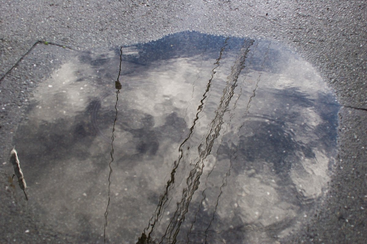 雨の後に見られる景色

ちょうど風が吹いて水面が波打っていました。