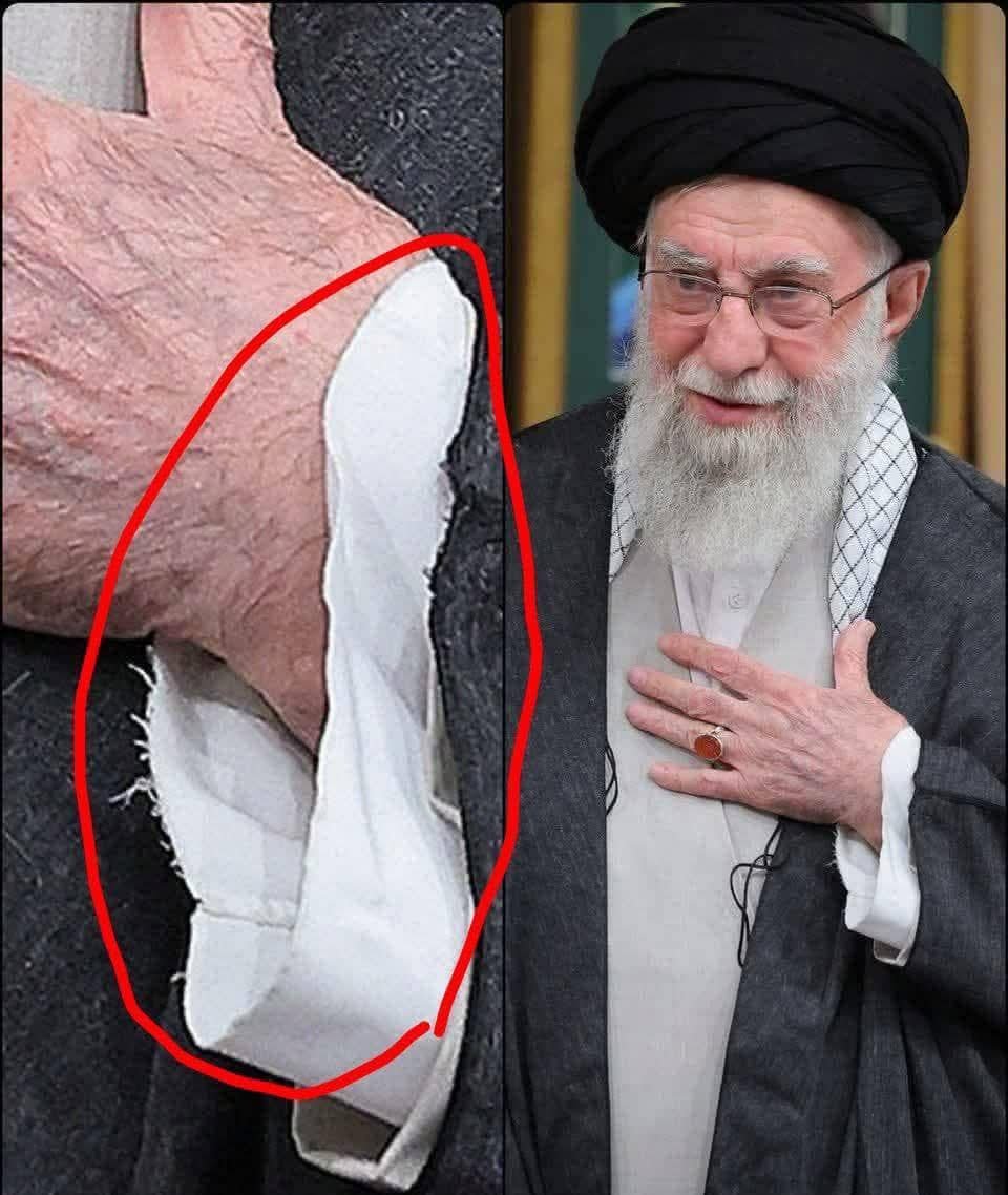 HZ🕊️ tweet media