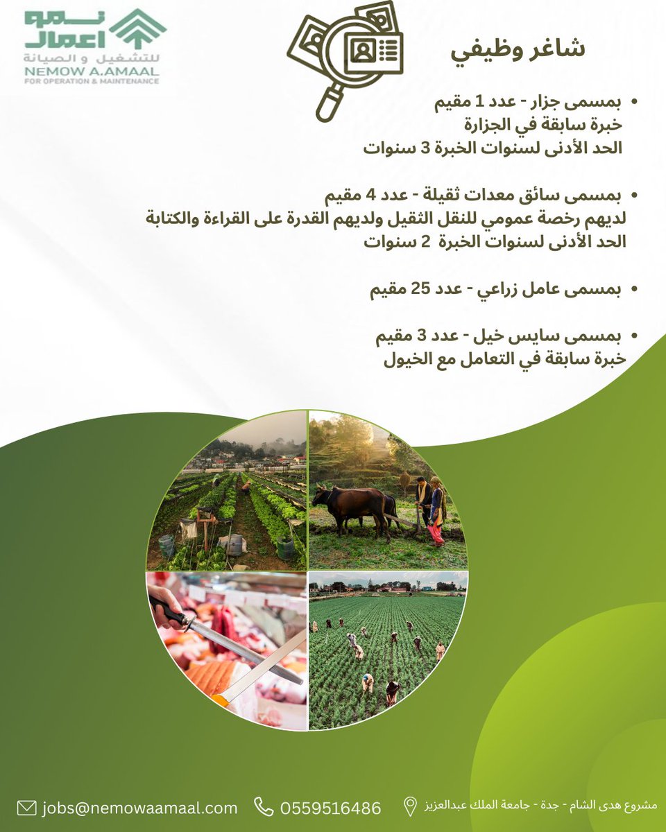 nemow_co's tweet photo. 📢 #اعلان_وظيفي #جدة 📷 
 #سائق_معدات_ثقيلة #عامل_زراعي #سايس #خيل

يتم إستقبال الطلبات عبر الايميل التالي jobs@nemowaamaal.com https://t.co/FYt9ggh4ZU