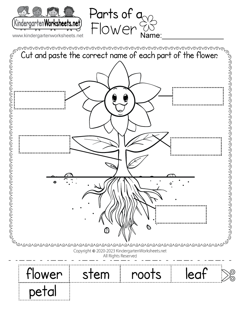 funkindergarten's tweet photo. Label the parts of a flower with this free cut-and-paste worksheet. You can download and print it here: https://t.co/Xmy9jzmtv1 #Science https://t.co/PtnJMVJMz7